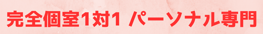 マシンピラティス　パーソナル専門　新越谷1分　完全個室1対1 顔ピラティス、美シルエット、骨格美、美歩行など美を追求